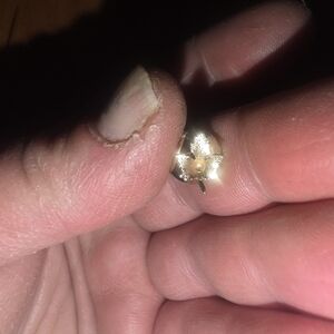 Small Maple Leaf Gold Tone Pin Perfect For Canada Day!